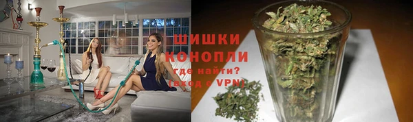 прущие грибы Алексин