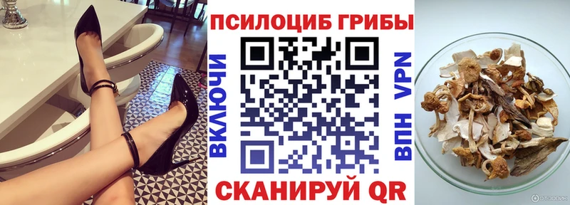 Галлюциногенные грибы мицелий  где найти наркотики  Ирбит 